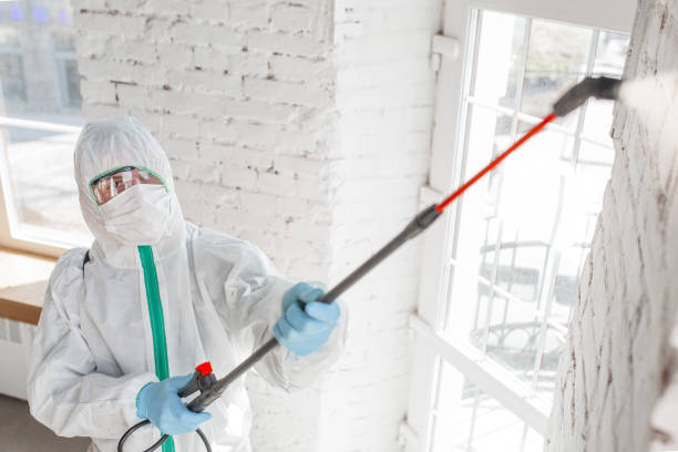 Best Industrial Mold Remediation  in Cedar Bluff, AL