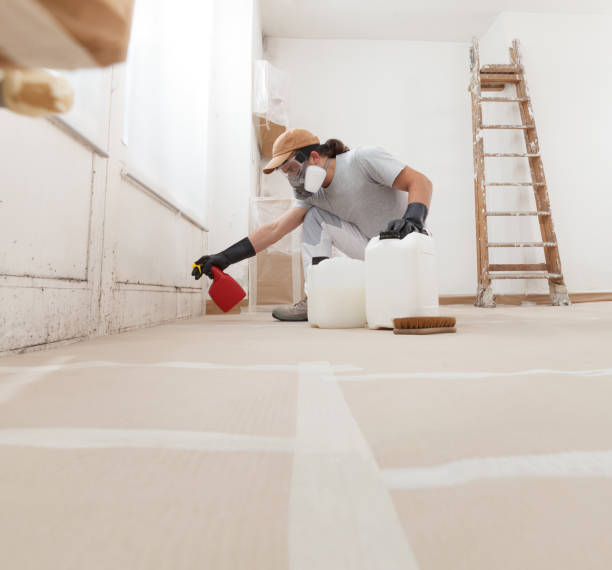 Best Post-Construction Mold Inspection  in Cedar Bluff, AL