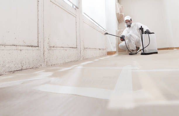 Forensic Mold Investigation in Cedar Bluff, AL